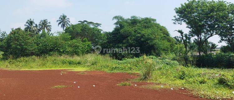 Dijual Cepat Tanah di Citaringgul, Sentul 1