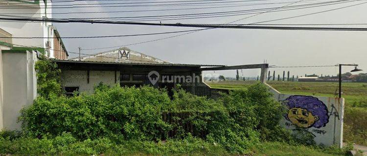 Dijual Murah Tanah Kosong di Daerah Gebang Melalui Lelang 1