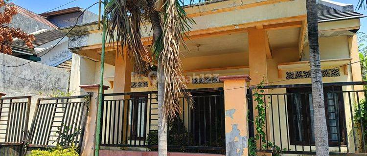 Rumah 1 Lantai Super Murah di Manyar Resort Gresik 1