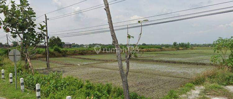 Dijual Tanah 3.920 M2 di Pinggir Jalan Raya Ring Road Utara 1