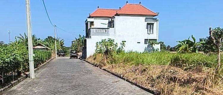 Tanah Kavling Harga Ekonomis Dengan View Sawah Di Tabanan  1