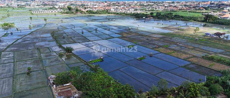 Land Plot In West Denpasar Near Trans Studio Mall 1