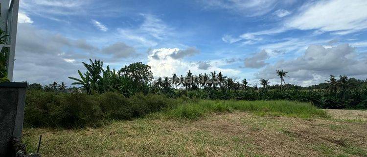 Tanah Kavling Eksekutif View Sawah Jl Pantai Nyehleh 1