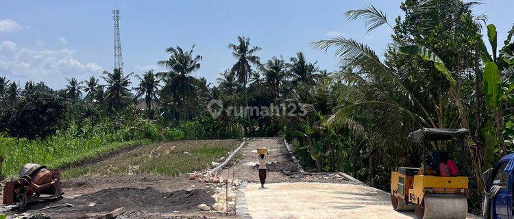 Tanah Kavling View Sawah Di Pring Gianyar  1