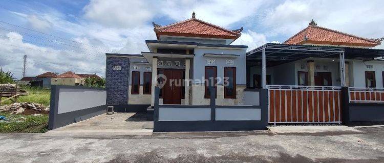 Rumah Meriah Di Pering Gianyar Denpasar Bali 1