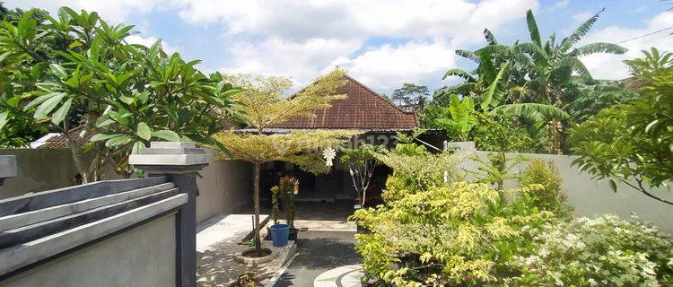 Rumah Murah Dan Nyaman Di Pusat Kota Tabanan Bali 1