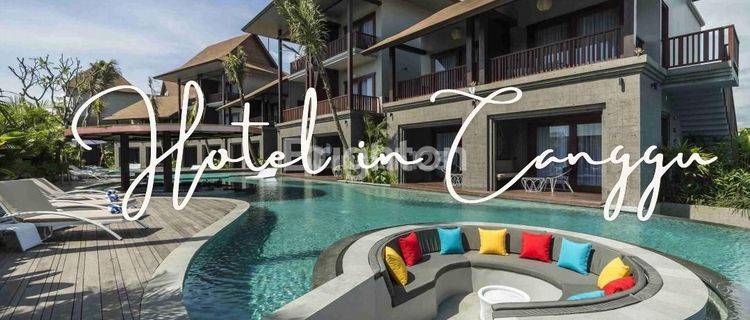 HOTELS IN CANGGU 1