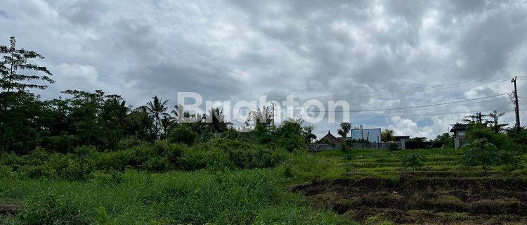 LAND BESIDE JALAN BATUAJI 1