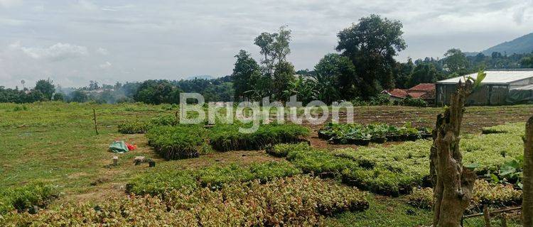 Tanah view gunung buat Villa Sisi Jalan 1