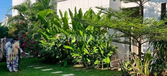 Dijual Rumah Asri Hunian Nyaman Keluarga Di Bintaro Sektor 7 1