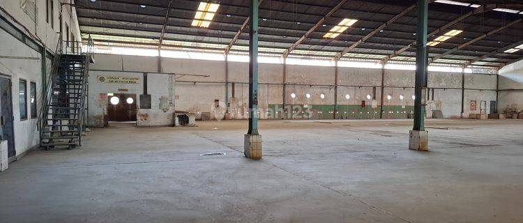 Disewakan Pabrik Dikawasan Cikupamas Dekat Pintu Tol Cikupa 1