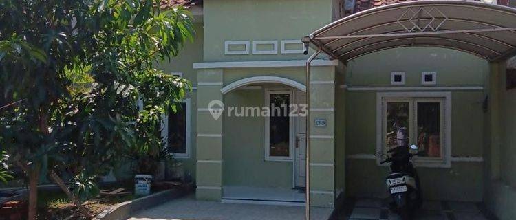 Rumah Di Sewakan Sekardangan  1