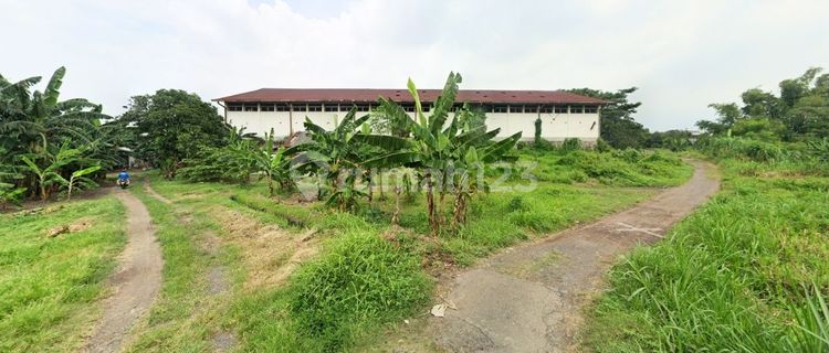 Disewakan Tanah Lokasi Strategis Dengan Luas 46.950 Dan Sertifikat HGB Jl. Kamajaya Tex, Genengan Kecamatan Sukorejo Pasuruan Jawa Timur  1