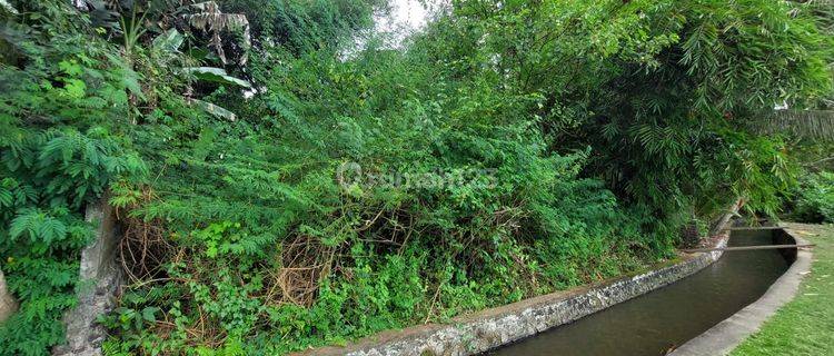 Land Still Cheap Near Central Ubud Private With Ricefield View 1