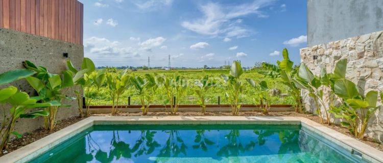 Ricefield View Villa In Tumbak Bayuh Canggu 1