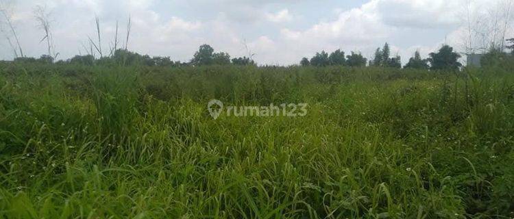 DIjual Tanah Kawasan Industri Pergudangan dekat Pintu Tol 1