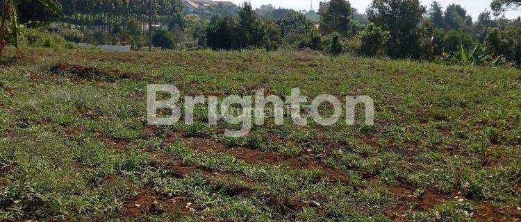 TANAH DENGAN PEMANDANGAN YANG SANGAT INDAH DI KETINGGIAN BUKIT PANDAAN 1