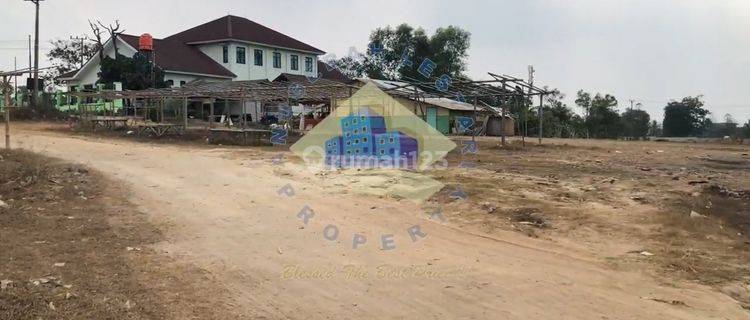 Tanah Disewakan 2,8ha Shm Zona Industri Di Rangkasbitung Lebak 1