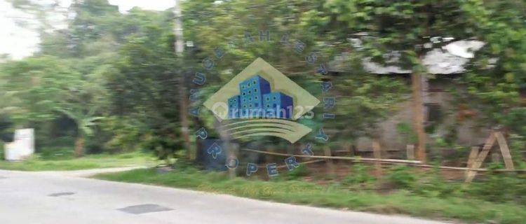 Jual Tanah 50 hectare Zona Industri di Cikulur Lebak Banten 1