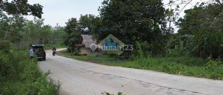 Jual Tanah Industri 15ha Murah Dekat Tol Cilleles Lebak Banten 1