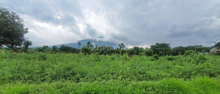 Tanah Karang ASem SHM bali Untuk Resort 1