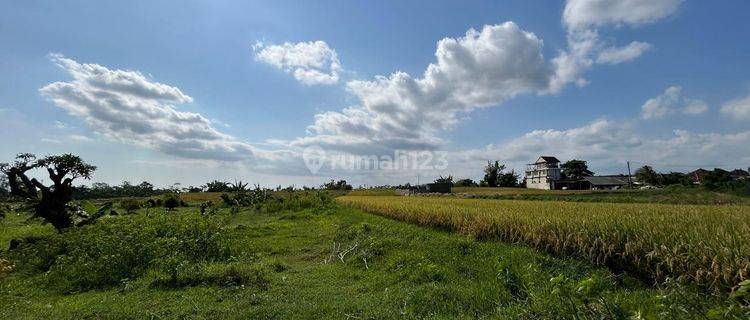 Harga Promo Hanya 275 Juta Are Tanah Kavling Ekslusive Harga Ekonomis View Sawah di By Pass Ir. Soekarno, Dauh Peken, Tabanan 1