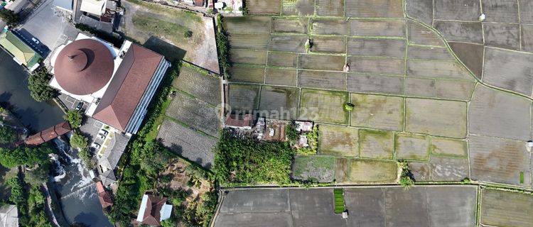 Price Only Rp. 800 Million Are Negotiable Exclusive Plot Land Economical Price Rice Field View on Jalan Gunung Soputan Pemecutan Klod, West Denpasar 1