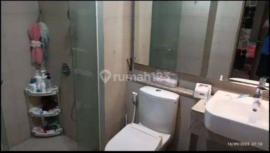 Apartement Gold Coast 1 BR Furnished Bagus 1