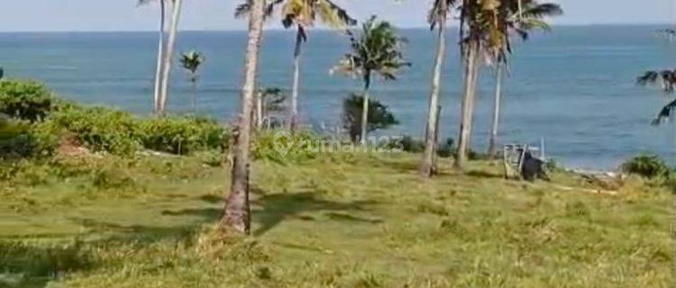 Exclusive Beachfront Land In Bonian Selemadeg Tabanan 1