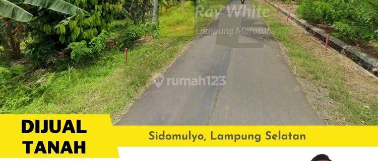 Tanah Sidomulyo Jalan Raya Suak 1