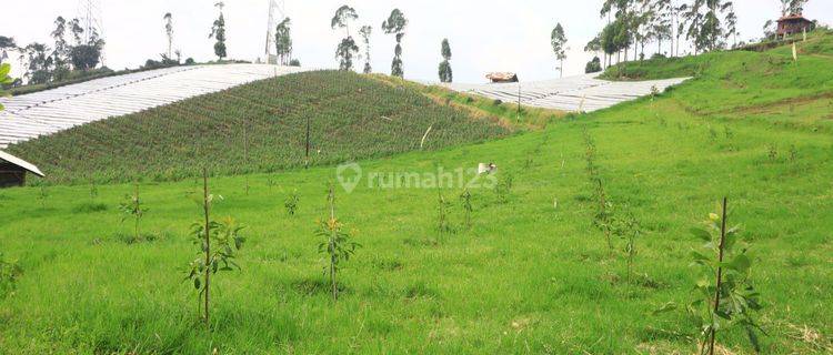 Tanah Kavling Villa Kamojang Hills Samarang Garut Bandung 1