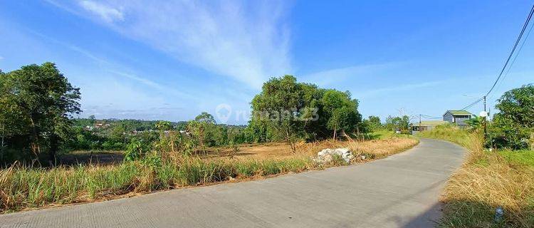 Lahan Shm 2 Ha Manggar Disewakan 1