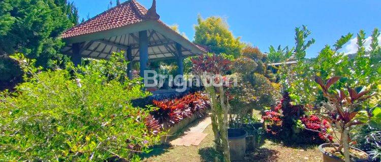 RUMAH SEMI VILLA BATURITI BEDUGUL 1