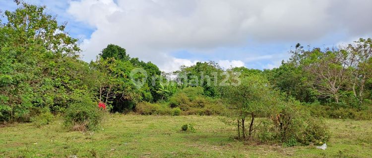 Dijual Cepat Tanaah Dekat Kampus Unud Jimbaran 1