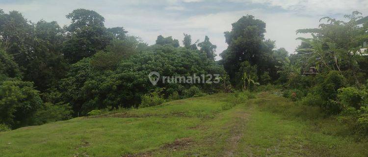 Dijual Tanah Kebun Cocok Untuk Investasi 1