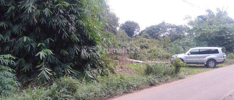 Dijual Tanah 5HA Di Kecamatan Rambutan, Banyuasin, Sumsel, Cocok U Pabrik, Kebun Sawit, Dll 1