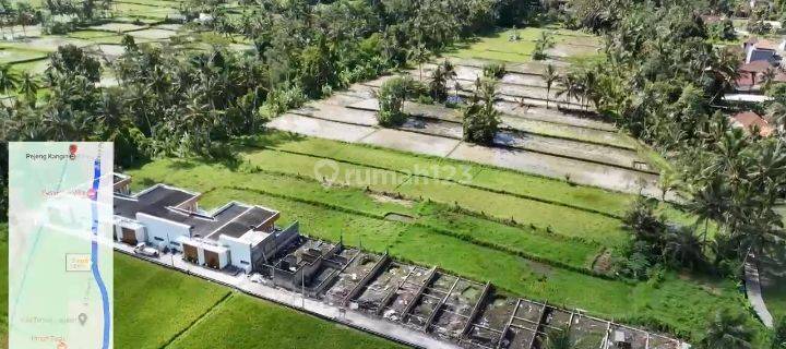 Land Leasehold Pejang Kangin Tampak Siring Pejang Kangin Rice View 1