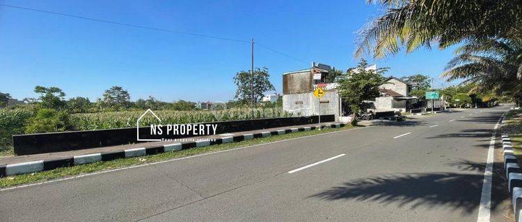 Tanah Disewakan Murah Boyolali Mojosongo Dekat Alun Alun Boyolali 1