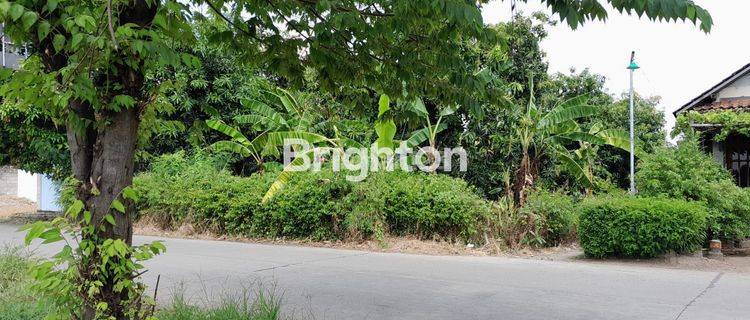 LAHAN BAGUS UNTUK TEMPAT TINGGAL,GUDANG ATAU USAHA LAINNYA.DIPINGGIR JALAN YANG RAMAI,DESA GEBANG KENDAL 1