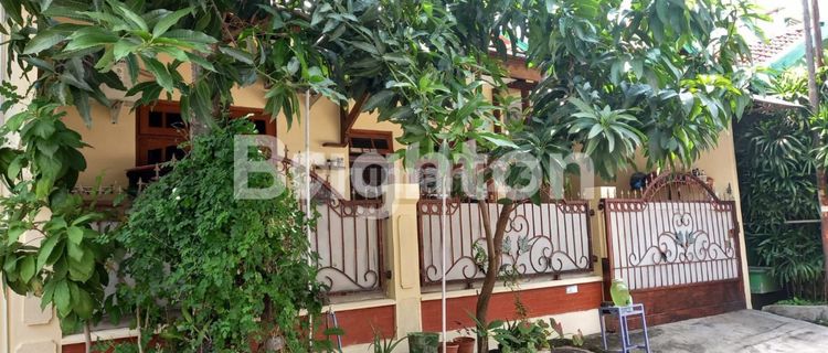 DIJUAL RUMAH BAGUS & TERAWAT 1