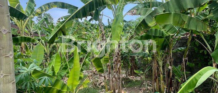 DISEWAKAN TANAH COCOK UNTUK INDUSTRI DI AREA BENG GIANYAR 1