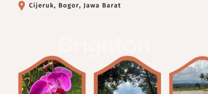 Villa berikut lahan Kebun dan Sawah di Cijeruk. Bogor, Jawa Barat 1