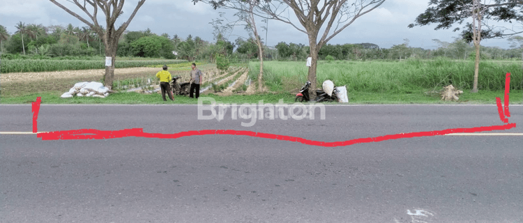 Tanah di WONOSARI, Purworejo Sertifikat Hak Milik 5.000 m² 1