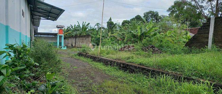 Tanah Dijual Di Banyuwangi, Lokasi Strategis 0 Jalan Raya 1