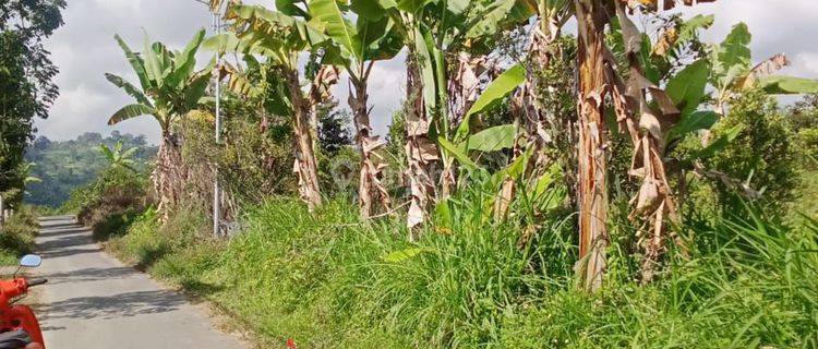 Land for sale in Bunutin Village, Kintamani 1