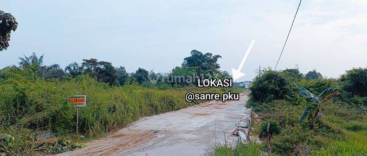 Tanah Murah Luas Tengah Kota Dekat ke Bandara dan Dekat dari Jl. Sudirman, Prospek Utk Perumahan 1