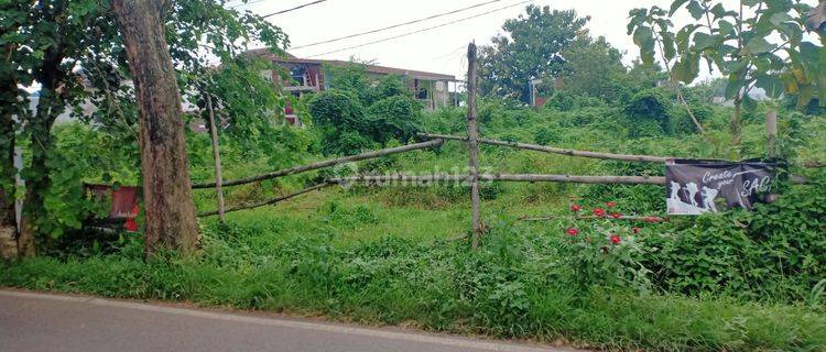 Tanah Sulfat Prospek Segala Usaha 1