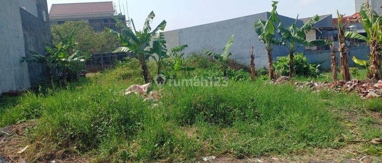 Tanah Jalan Bunga Pinang Lingkungan Kosan Exslusif 1