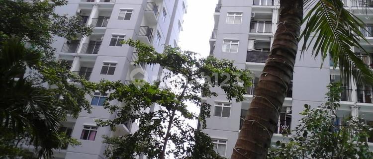 Apartemen Murah Dan Lokasi Strategis Di Apartemen Paragon Dikatawaci Tangerang 1