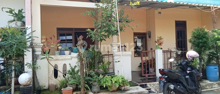 450 million still negotiable, in the city center, flood-free 1